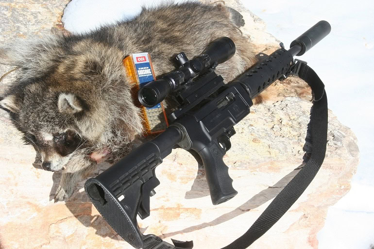22 caliber rifle 22 caliber rifle