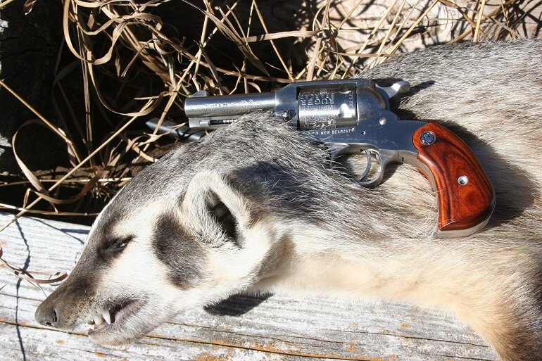 22lr hunting 22lr hunting