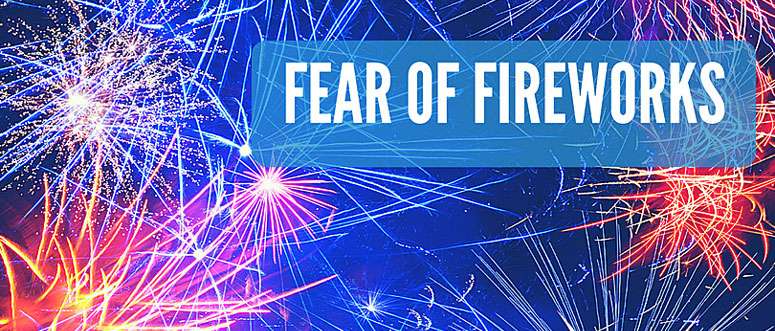 Keep your Morkie calm this July 4th