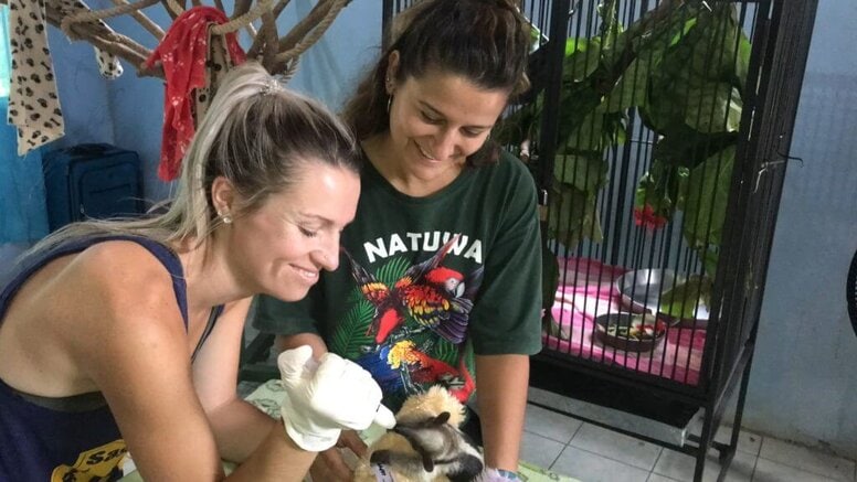 Voluntariado con animales silvestres en Costa Rica Voluntariado con animales silvestres en Costa Rica
