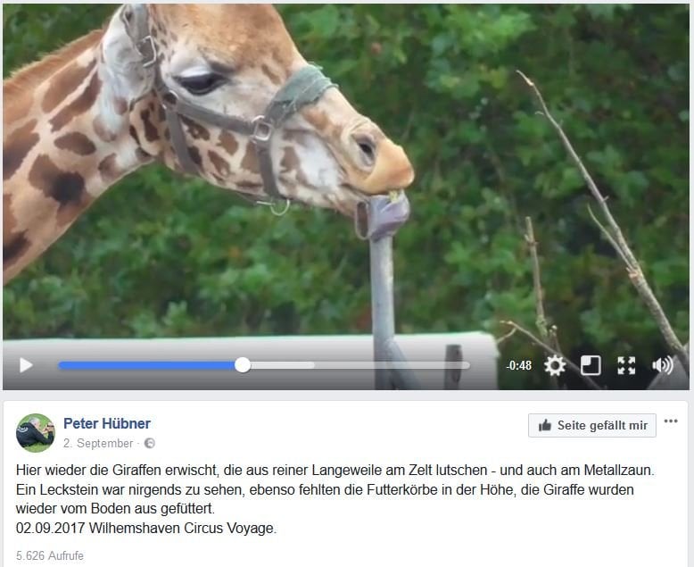 Screenshot Facebook