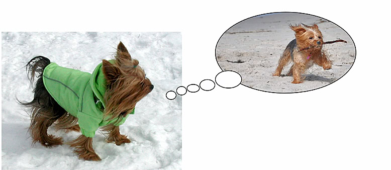 Cold weather safety