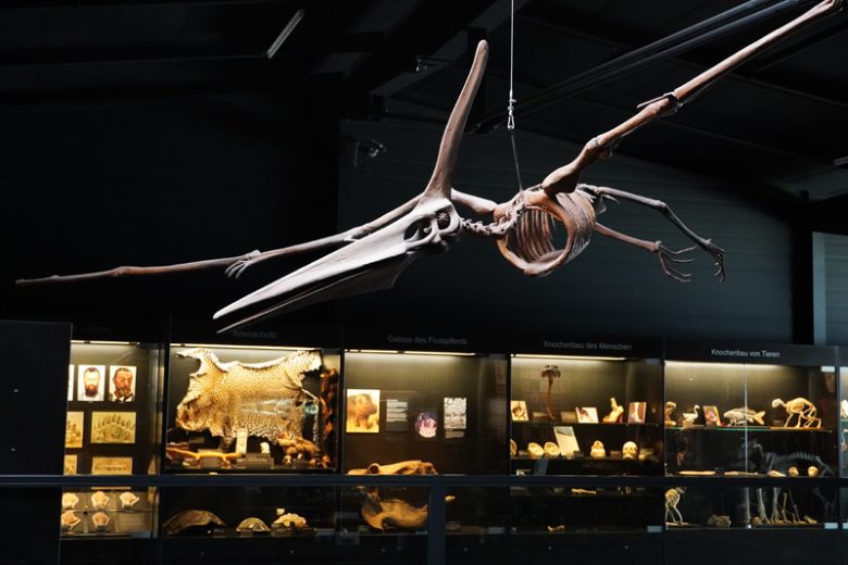 Kulturama Museum des Menschen