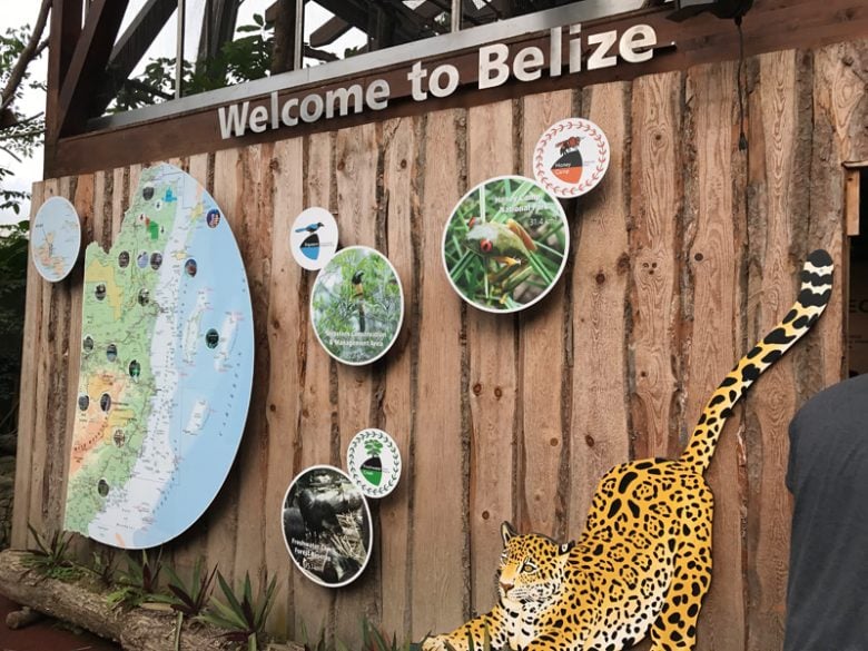 Papiliorama Kerzes