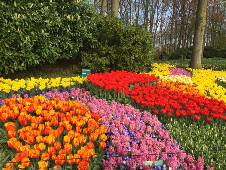 Spring trip to Amsterdam + Keukenhof