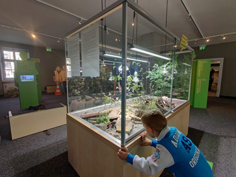 Naturmuseum Luzern