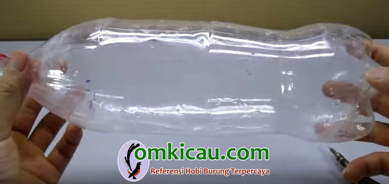 membuat biji berkecambah Botol yang telah dilubangi dengan paku atau ujung obeng