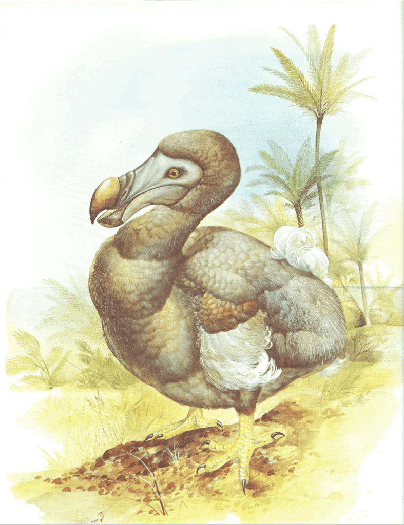 the mighty dodo