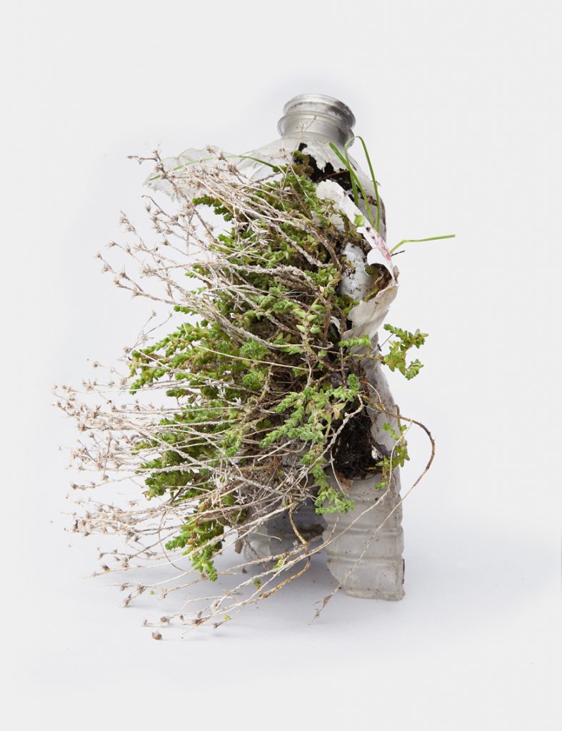 Diana Lelonek, "Pet-environment" from the series: "Center for Living Things", 2017. Courtesy of lokal_30 Gallery, Warsaw
