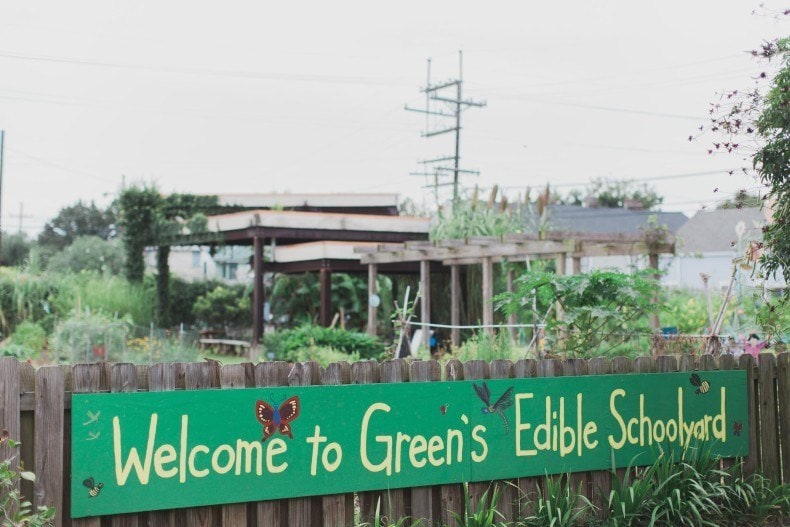 Green 2015-9823