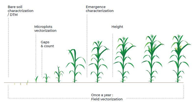 A Better Way to Manage Seed Trials 3 view measure annotate
