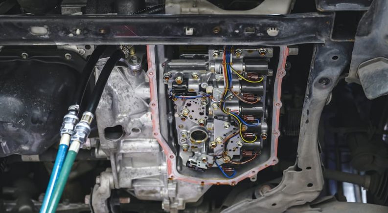 Check Your Fluids for a Healthy, Happy Ride
