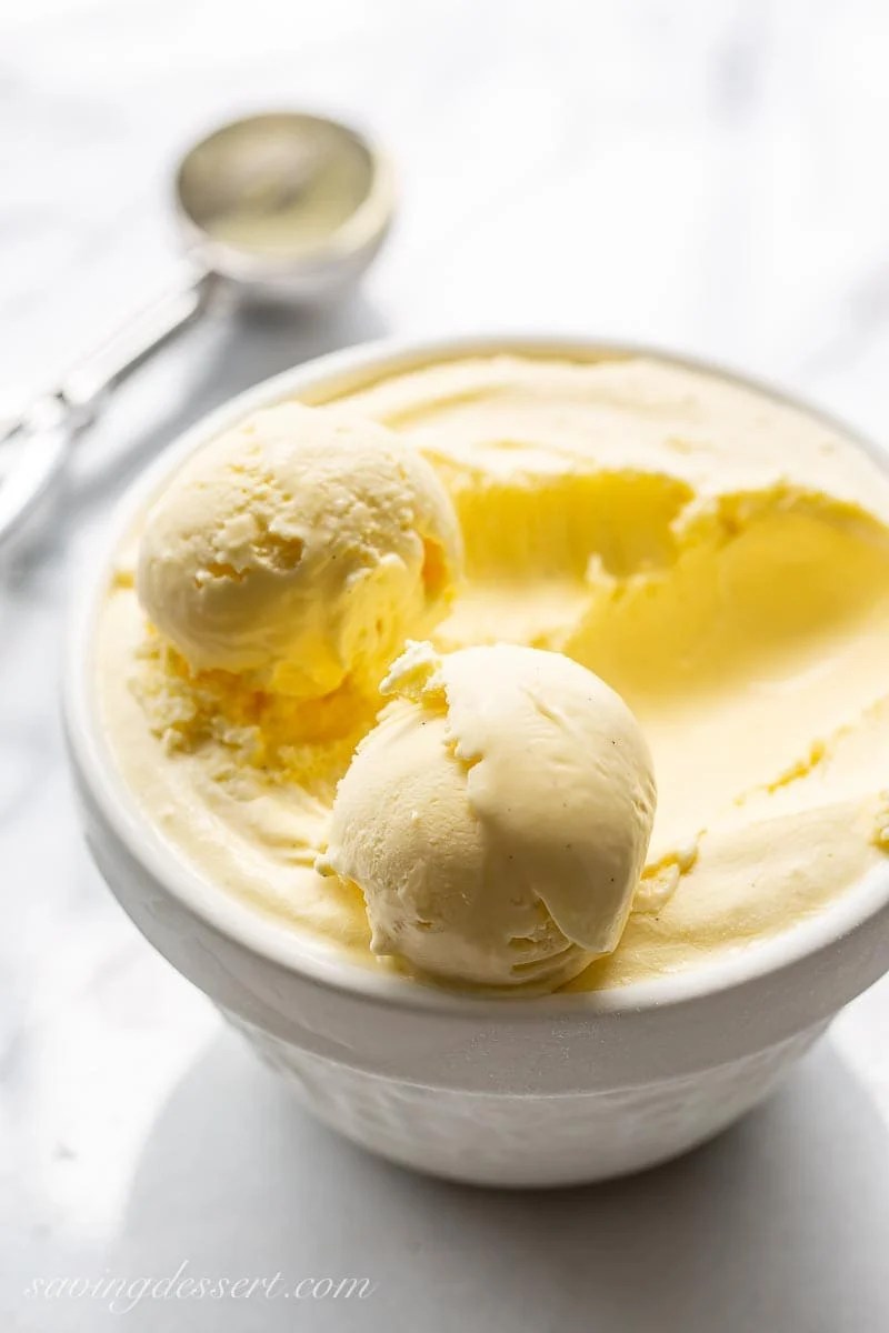 Can Dogs Eat Vanilla Bean Ice Cream Online - Can Dogs Eat Vanilla Bean Ice Cream Online -