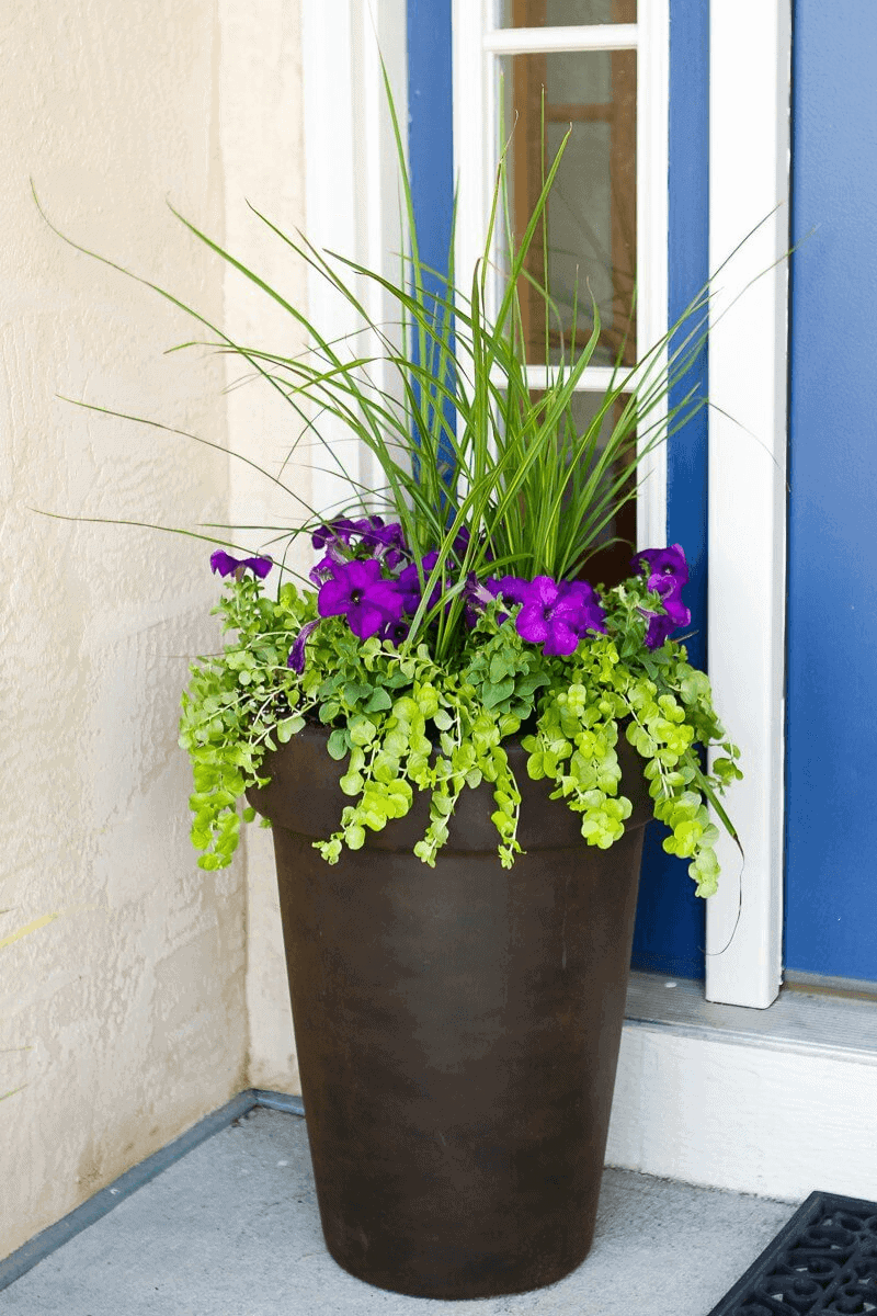 HOW TO USE BRONZE POT WITH MIXED PLANTS FOR SIMPLE PORCH DECOR IDEAS