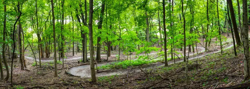 5 SPECTACULAR CAMPGROUNDS NEAR MOLINE, IL | QUAD CITIES CAMPING 6_2021 illiniwek