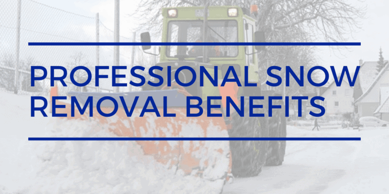 Professional Snow Removal Services