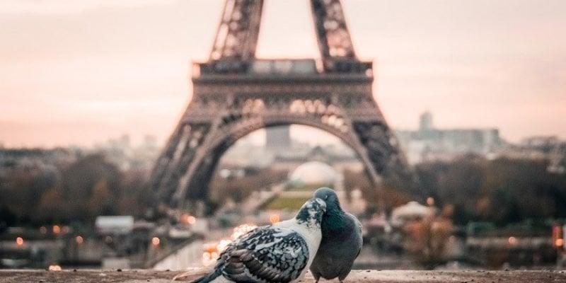 Visit the Eiffel Tower At Night