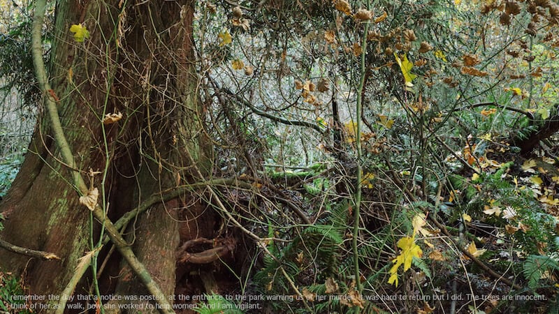 The Trees Are Innocent - Elbowbent