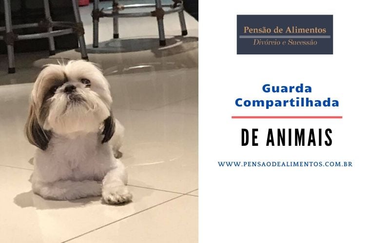 GUARDA COMPARTILHADA ANIMAIS