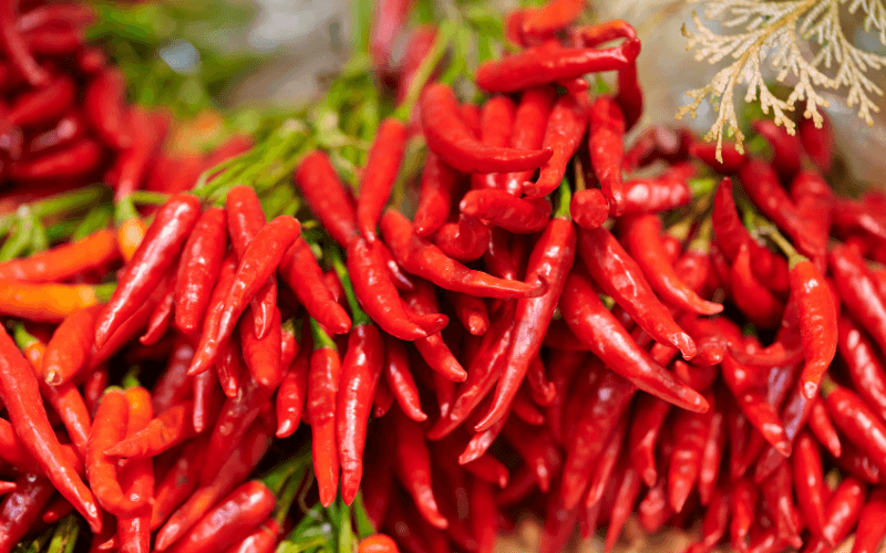 What Is Red Chili Pepper
