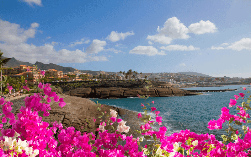 Tenerife with kids