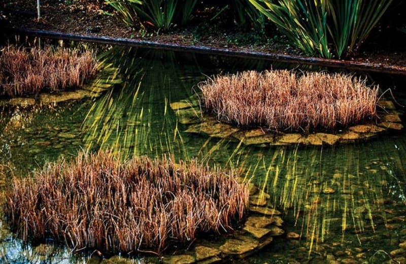 Jardins da Gulbenkian em Lisboa
