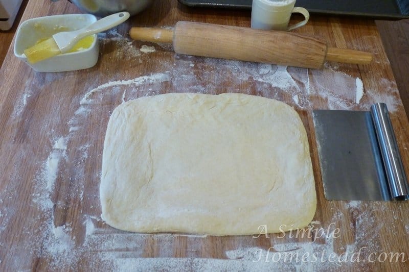Lion house rolls - roll out a rectangle