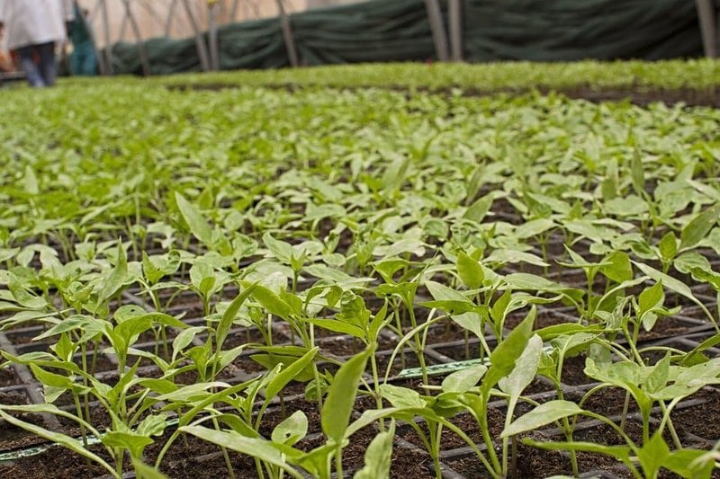 Agriculture Bio