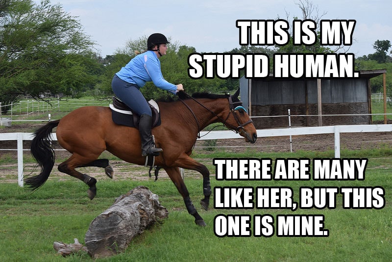 (I can't take credit for the text of this meme but it's super appropriate here)