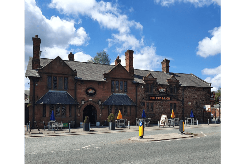 cat and lion stretton