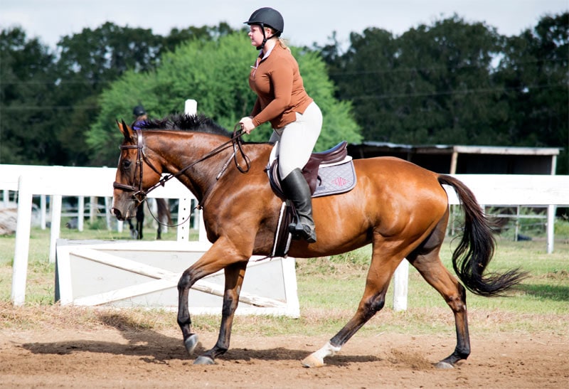 simon-canter