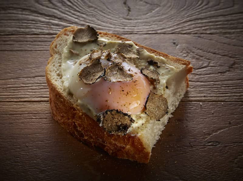 tartufo3 tartufo3