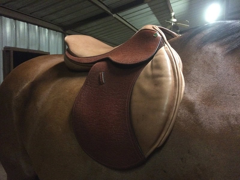 A narrow tree on Simon. This is also their base leather (not a fan)