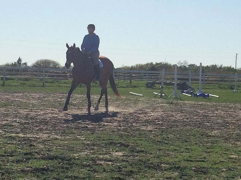 The "Don't want to stop" trot