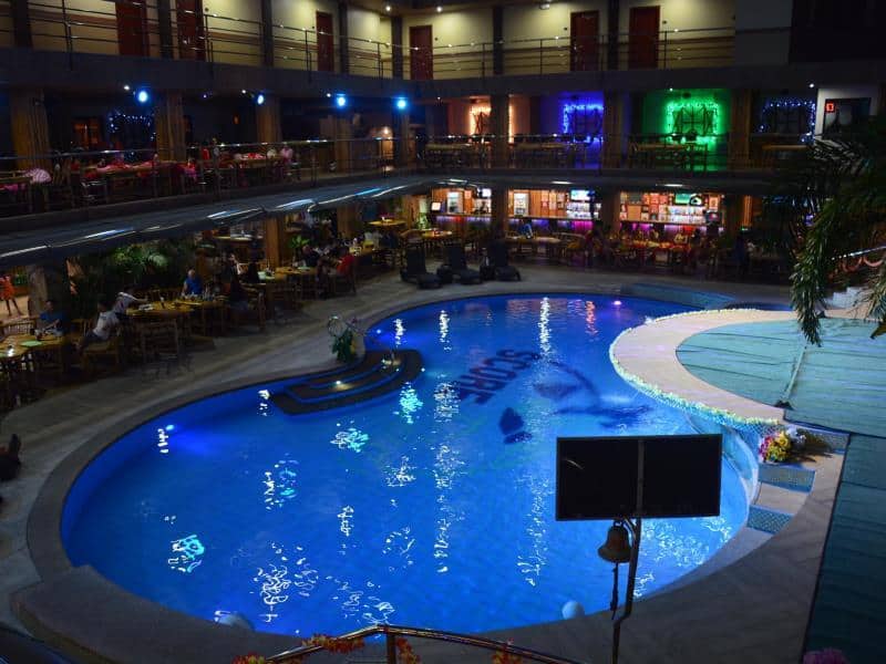 scorebirds hotel pool