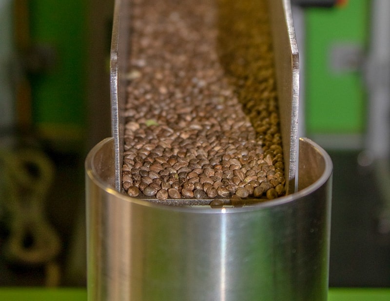 Hemp Seeds in Machine at iHEMPx