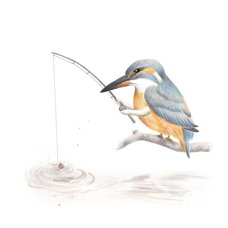 Inktober 2017, Mar Villar, ilustracion de paves, ilustracion de pajaro, ilustracion a tinta, bird illustration, kingfisher, martin pescador, alcedo atthis