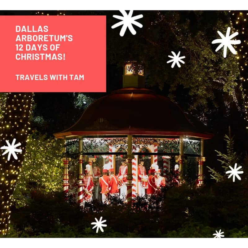 dallas arboretum, one million lights, one million lights for the holidays, 12 Days of Christmas, Dallas, Dallas Holidays