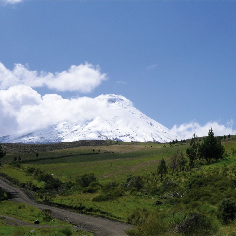 Cotopaxi