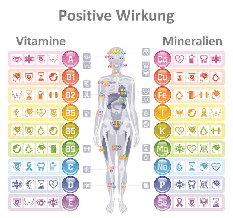 vitamine-mineralien-spurenelemente Die richtige Dosierung von Vitaminen, Mineralien und Spurenelementen ist lebensnotwendig und wirkt an den unterschiedlichsten Stellen im Körper.