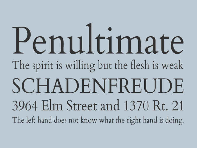 Cardo Font Family Download