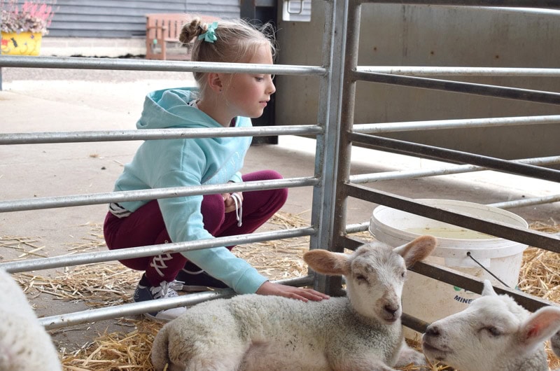 whitehouse farm centre events