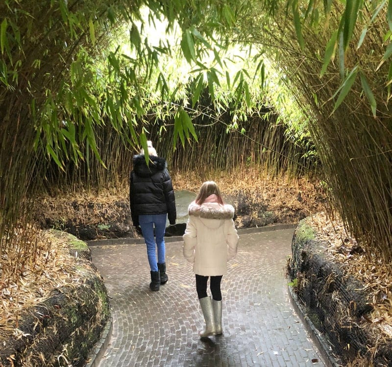 Alnwick Garden Winter activities