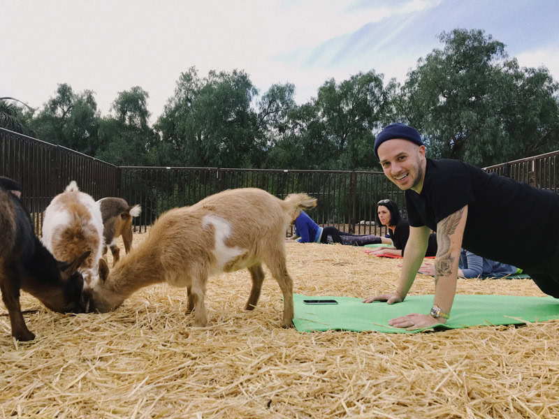 Lavenderwood Farm Goat Yoga