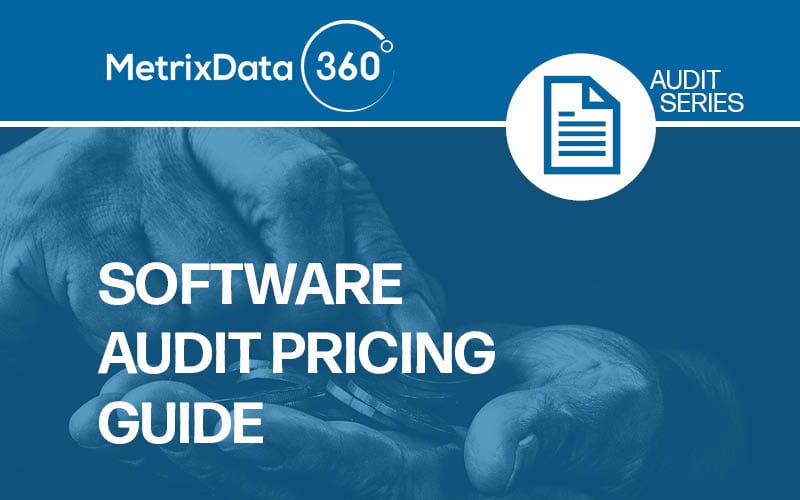 How Much Does Hiring A Software Audit Consultant Cost?