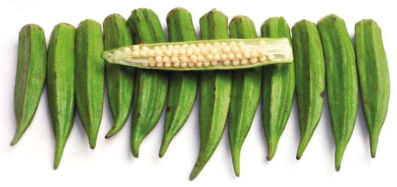 Riset membuktikan okra Abelmoschus esculentus dapat menurunkan gula darah Riset membuktikan okra Abelmoschus esculentus dapat menurunkan gula darah