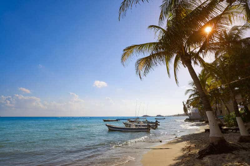Playa del Carmen beach palm trees Mexico