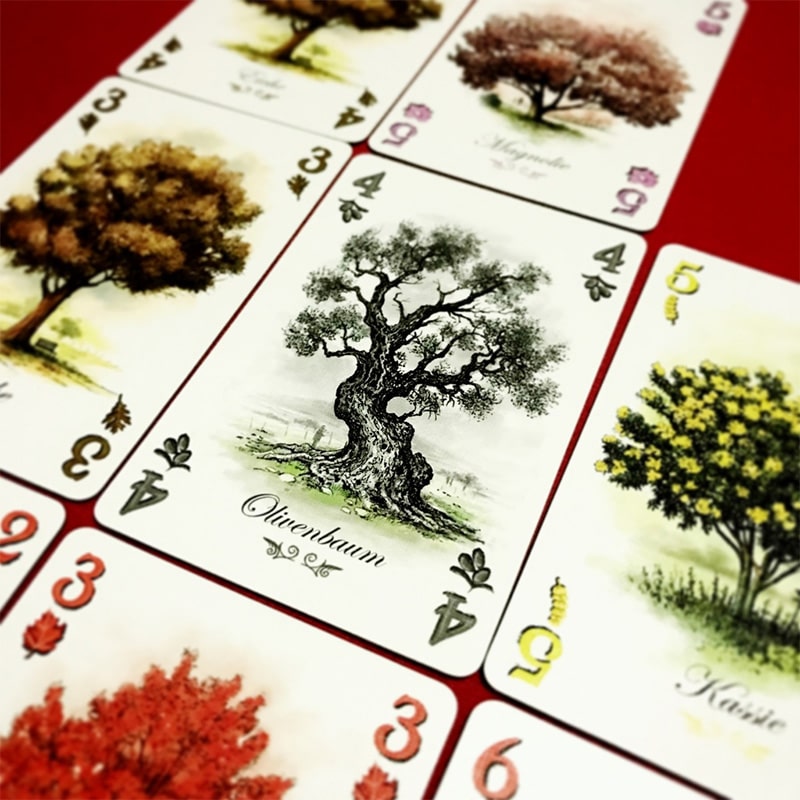 Arboretum