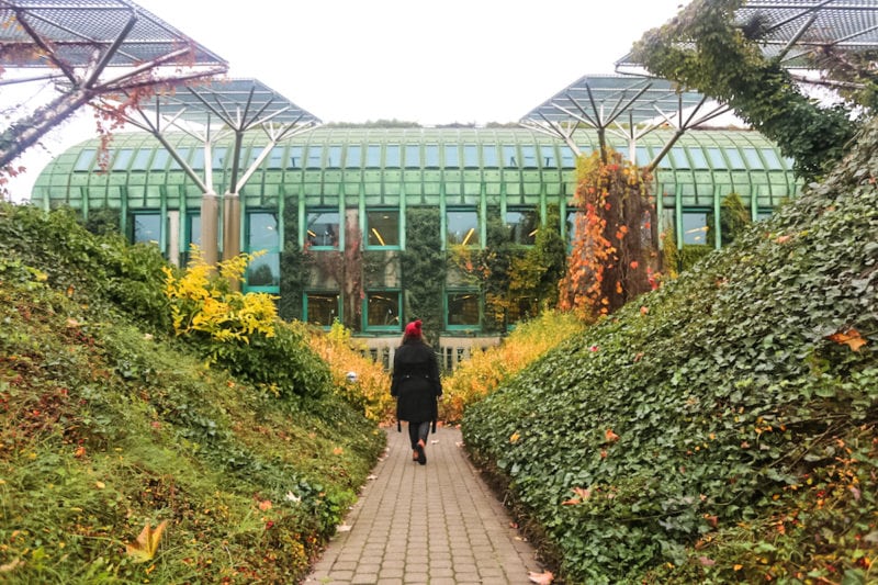 Library garden in warsaw