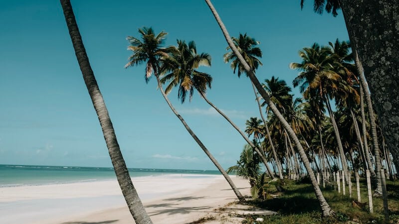 Praia dos Carneiros